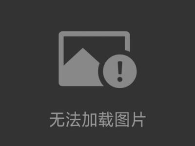 插入式氣體流量計(jì) 在線流量計(jì)
